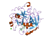 2cn0: COMPLEX OF RECOMBINANT HUMAN THROMBIN WITH A DESIGNED INHIBITOR