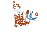 2cn5: CRYSTAL STRUCTURE OF HUMAN CHK2 IN COMPLEX WITH ADP