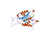 2cnl: CRYSTAL STRUCTURES OF CASPASE-3 IN COMPLEX WITH AZA-PEPTIDE EPOXIDE INHIBITORS.