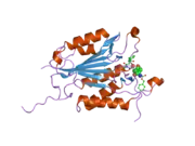 2cno: CRYSTAL STRUCTURES OF CASPASE-3 IN COMPLEX WITH AZA-PEPTIDE EPOXIDE INHIBITORS.