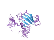 2cr0: Solution structure of nuclear move domain of nuclear distribution gene C