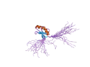 2crl: The apo form of HMA domain of copper chaperone for superoxide dismutase