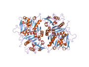 2d0j: Crystal Structure of Human GlcAT-S Apo Form