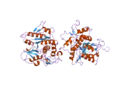 2d1i: Structure of human Atg4b