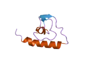 2d46: Solution Structure of the Human Beta4a-A Domain