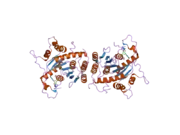 2d4h: Crystal-structure of the N-terminal large GTPase Domain of human Guanylate Binding protein 1 (hGBP1) in complex with GMP