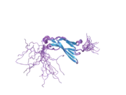 2dbj: Solution structures of the fn3 domain of human Proto-oncogene tyrosine-protein kinase MER precursor