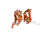 2dc3: Crystal structure of human cytoglobin at 1.68 angstroms resolution