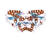 2ddk: Crystal structure of human myo-inositol monophosphatase 2 (IMPA2) (orthorhombic form)