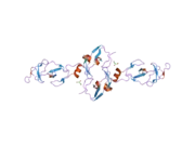 2dfy: Crystal structure of a cyclized protein fusion of LMO4 LIM domains 1 and 2 with the LIM interacting domain of LDB1