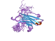 2dmg: Solution structure of the third C2 domain of KIAA1228 protein