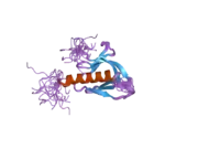 2dn6: Solution structure of the PH domain of KIAA0640 protein from human