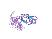 2dnc: Solution Structure of RSGI RUH-054, a lipoyl domain from human 2-oxoacid dehydrogenase