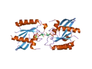 2dpx: Crystal Structure of human Rad GTPase