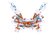 2e4x: Crystal structure of the extracellular region of the group II metabotropic glutamate receptor complexed with 1S,3R-ACPD