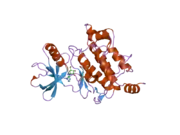 2eva: Structural Basis for the Interaction of TAK1 Kinase with its Activating Protein TAB1