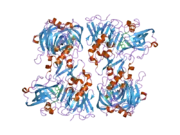 2ewy: Crystal structure of human BACE2 in complex with a hydroxyethylenamine transition-state inhibitor