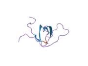 2eyx: C-Terminal SH3 domain of CT10-Regulated Kinase