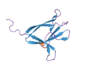 2f15: Glycogen-Binding Domain Of The Amp-Activated Protein Kinase beta2 Subunit