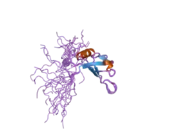 2fc9: Solution structure of the RRM_1 domain of NCL protein