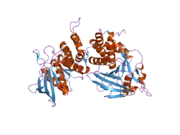 2fh7: Crystal structure of the phosphatase domains of human PTP SIGMA