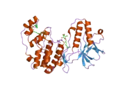 2fst: Mitogen activated protein kinase p38alpha (D176A+F327L) activating mutant