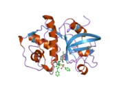 2fye: Mutant Human Cathepsin S with irreversible inhibitor CRA-14013