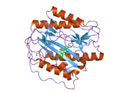 2g6p: Crystal structure of truncated (delta 1-89) human methionine aminopeptidase Type 1 in complex with Pyridyl pyrimidine derivative