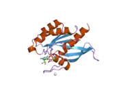 2gf9: Crystal structure of human RAB3D in complex with GDP