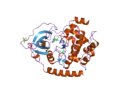 2gnf: Protein kinase A fivefold mutant model of Rho-kinase with Y-27632