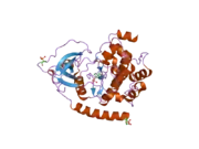 2gng: Protein kinase A fivefold mutant model of Rho-kinase