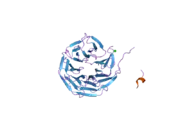 2gnq: Structure of wdr5