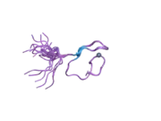 2gqe: Molecular characterization of the Ran binding zinc finger domain