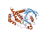 2h03: Structural studies of protein tyrosine phosphatase beta catalytic domain in complex with inhibitors