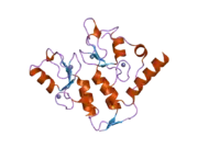 2h0d: Structure of a Bmi-1-Ring1B Polycomb group ubiquitin ligase complex