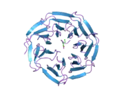 2h13: Crystal structure of WDR5/histone H3 complex