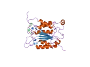 2h48: Crystal structure of human caspase-1 (Cys362->Ala, Cys364->Ala, Cys397->Ala) in complex with 3-[2-(2-benzyloxycarbonylamino-3-methyl-butyrylamino)-propionylamino]-4-oxo-pentanoic acid (z-VAD-FMK)