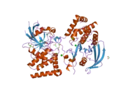 2h4v: Crystal Structure of the Human Tyrosine Receptor Phosphatase Gamma