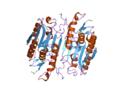 2h65: Crystal structure of caspase-3 with inhibitor Ac-VDVAD-Cho