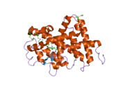 2h77: Crystal structure of human TR alpha bound T3 in monoclinic space group