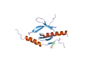 2h7e: Solution structure of the talin F3 domain in complex with a chimeric beta3 integrin-PIP kinase peptide- minimized average structure