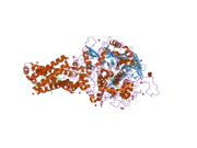 2h89: Avian Respiratory Complex II with Malonate Bound