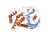 2hc1: Engineered catalytic domain of protein tyrosine phosphatase HPTPbeta.