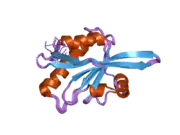 2hd7: Solution structure of C-terminal domain of twinfilin-1.