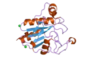 2he3: Crystal structure of the selenocysteine to cysteine mutant of human glutathionine peroxidase 2 (GPX2)