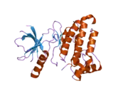 2hel: Crystal structure of a mutant EphA4 kinase domain (Y742A)