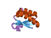 2hh3: Solution structure of the third KH domain of KSRP