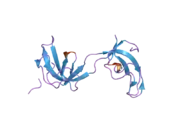 2hkn: Crystal structure of the CAP-Gly domain of human Dynactin-1 (p150-Glued)