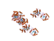 2hxy: Crystal structure of human apo-eIF4AIII