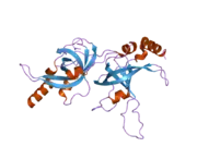 2i46: Crystal structure of human TPP1